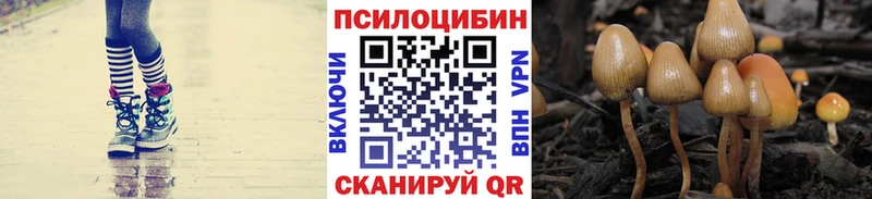 Галлюциногенные грибы GOLDEN TEACHER  Духовщина 